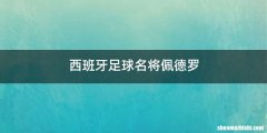 西班牙足球名将佩德罗