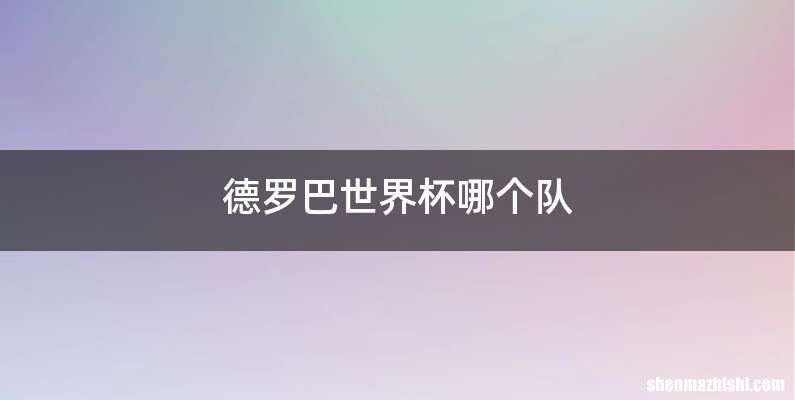 德罗巴世界杯哪个队
