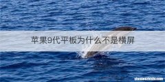 苹果9代平板为什么不是横屏