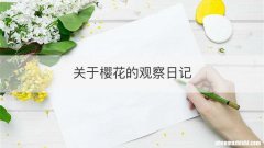关于樱花的观察日记