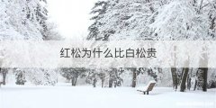 红松为什么比白松贵