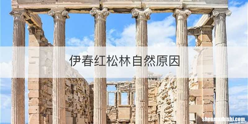 伊春红松林自然原因