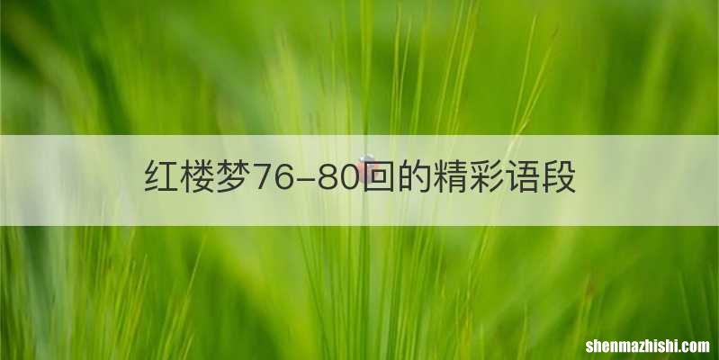 红楼梦76-80回的精彩语段