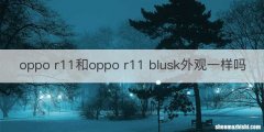 oppo r11和oppo r11 blusk外观一样吗