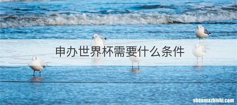 申办世界杯需要什么条件