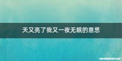 天又亮了我又一夜无眠的意思