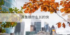 燕鱼喂什么长的快