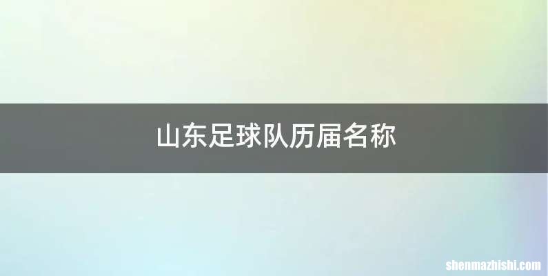 山东足球队历届名称