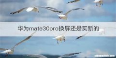 华为mate30pro换屏还是买新的