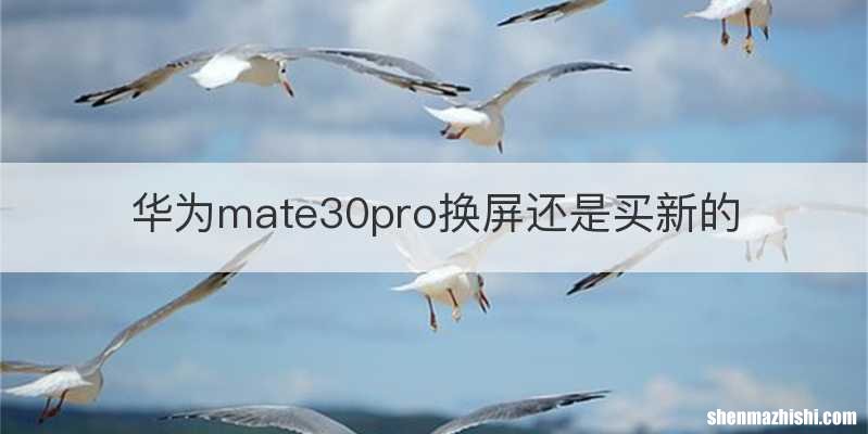 华为mate30pro换屏还是买新的