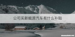 公司买新能源汽车有什么补贴