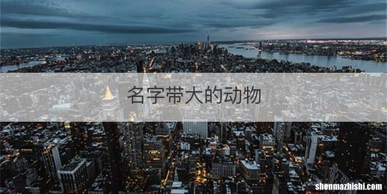 名字带大的动物