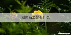 湖南名酒都有什么