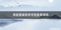 英超曼城绝杀夺冠是假球吗