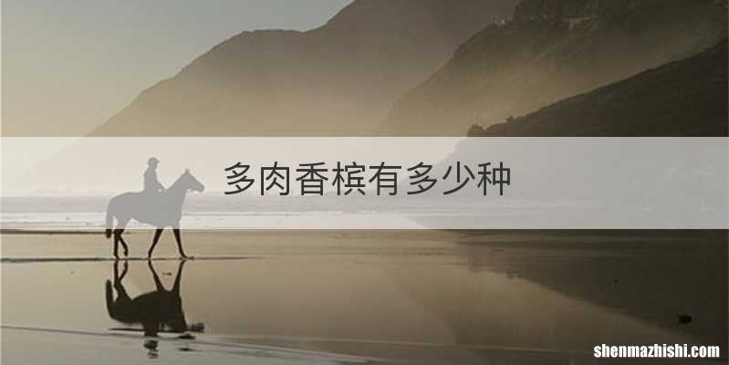 多肉香槟有多少种