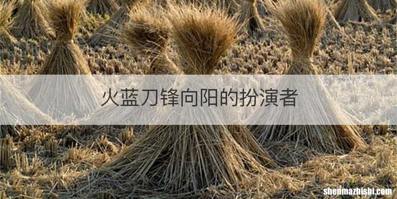 火蓝刀锋向阳的扮演者