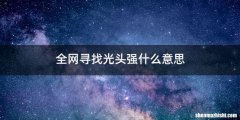 全网寻找光头强什么意思
