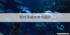如何连接米家电磁炉