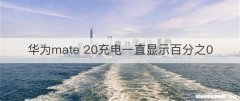 华为mate 20充电一直显示百分之0