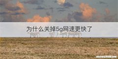 为什么关掉5g网速更快了