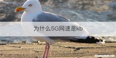 为什么5G网速是kb