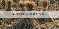坐动车到西藏需要多少时间