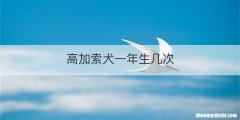 高加索犬一年生几次
