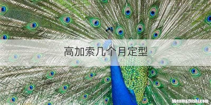 高加索几个月定型