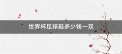 世界杯足球鞋多少钱一双
