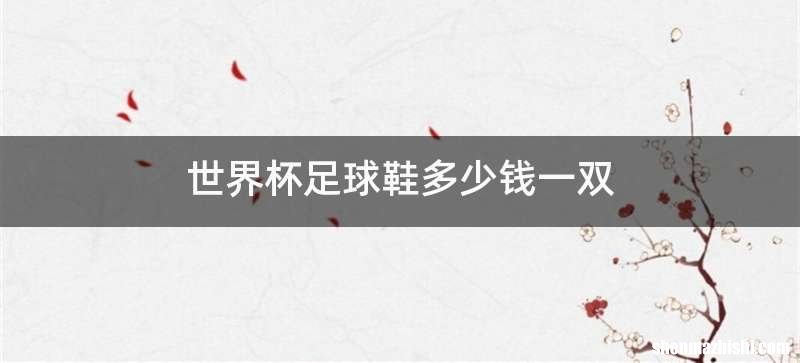 世界杯足球鞋多少钱一双