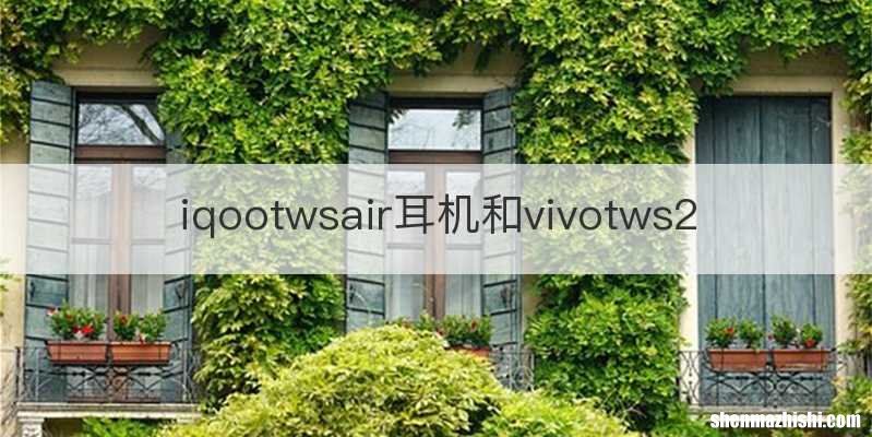 iqootwsair耳机和vivotws2