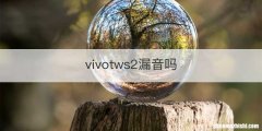 vivotws2漏音吗