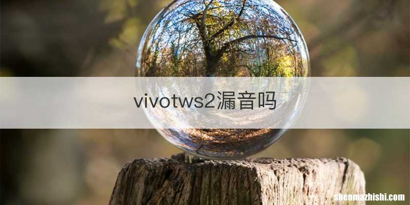 vivotws2漏音吗