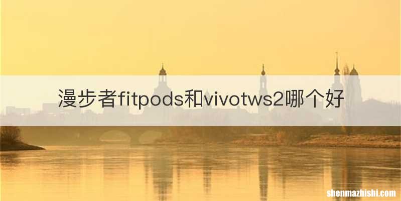 漫步者fitpods和vivotws2哪个好