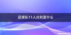 足球队11人分别是什么