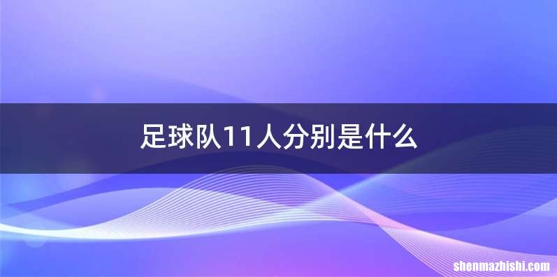 足球队11人分别是什么