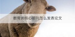 教育类核心期刊怎么发表论文