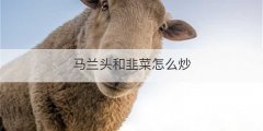 马兰头和韭菜怎么炒