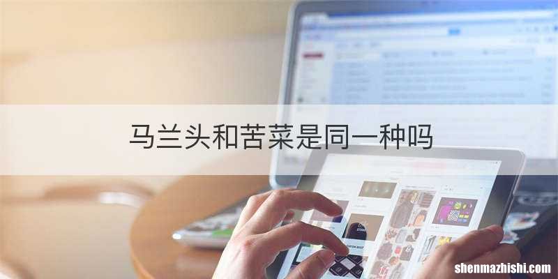 马兰头和苦菜是同一种吗