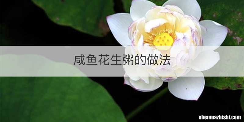 咸鱼花生粥的做法