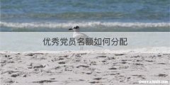 优秀党员名额如何分配