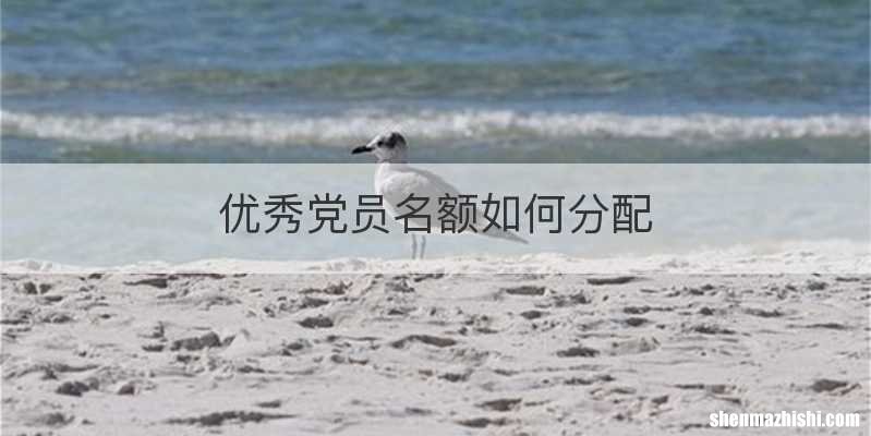 优秀党员名额如何分配