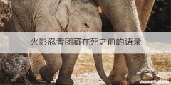 火影忍者团藏在死之前的语录