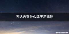 齐达内穿什么牌子足球鞋