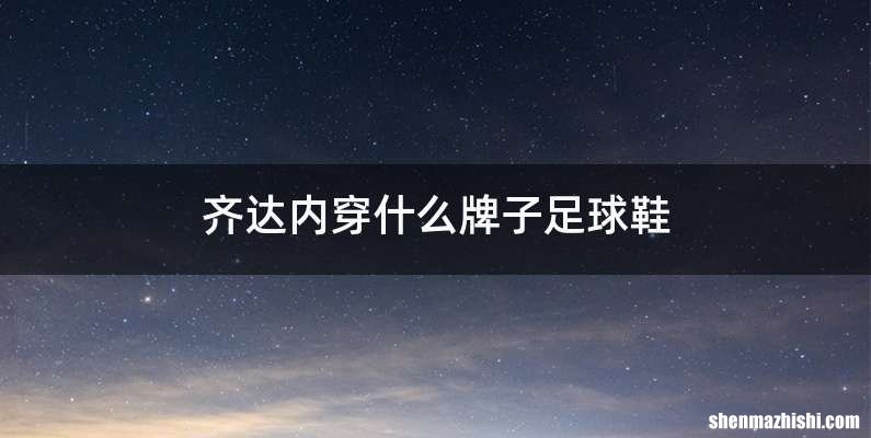 齐达内穿什么牌子足球鞋