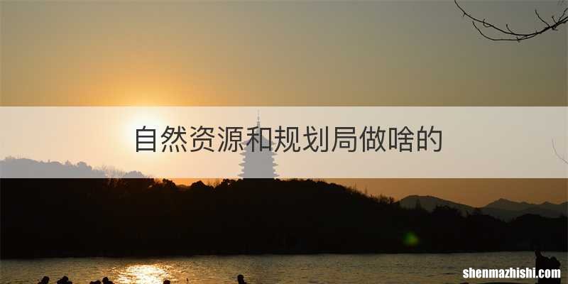 自然资源和规划局做啥的