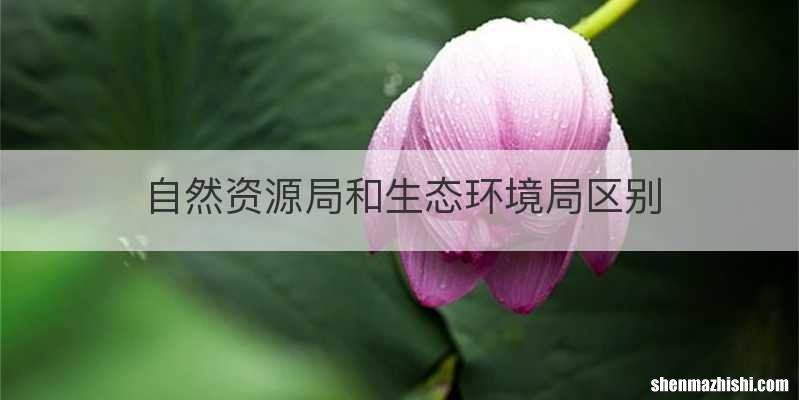 自然资源局和生态环境局区别