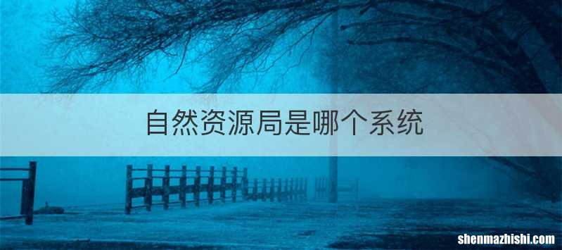 自然资源局是哪个系统