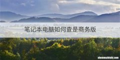 笔记本电脑如何查是商务版