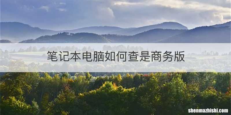 笔记本电脑如何查是商务版